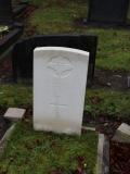 image of grave number 490011